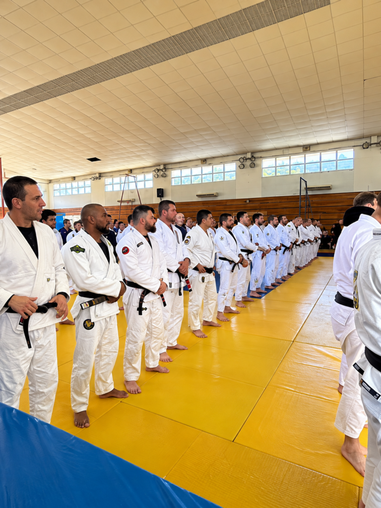 Modern Taiho Jutsu